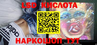 a pvp Краснознаменск